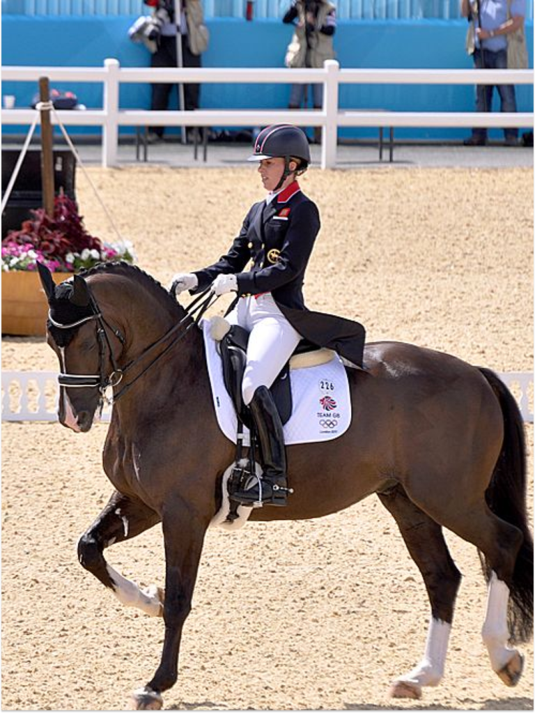 Olympic horse ‘abuse’ allegations Animal welfare organisations demand